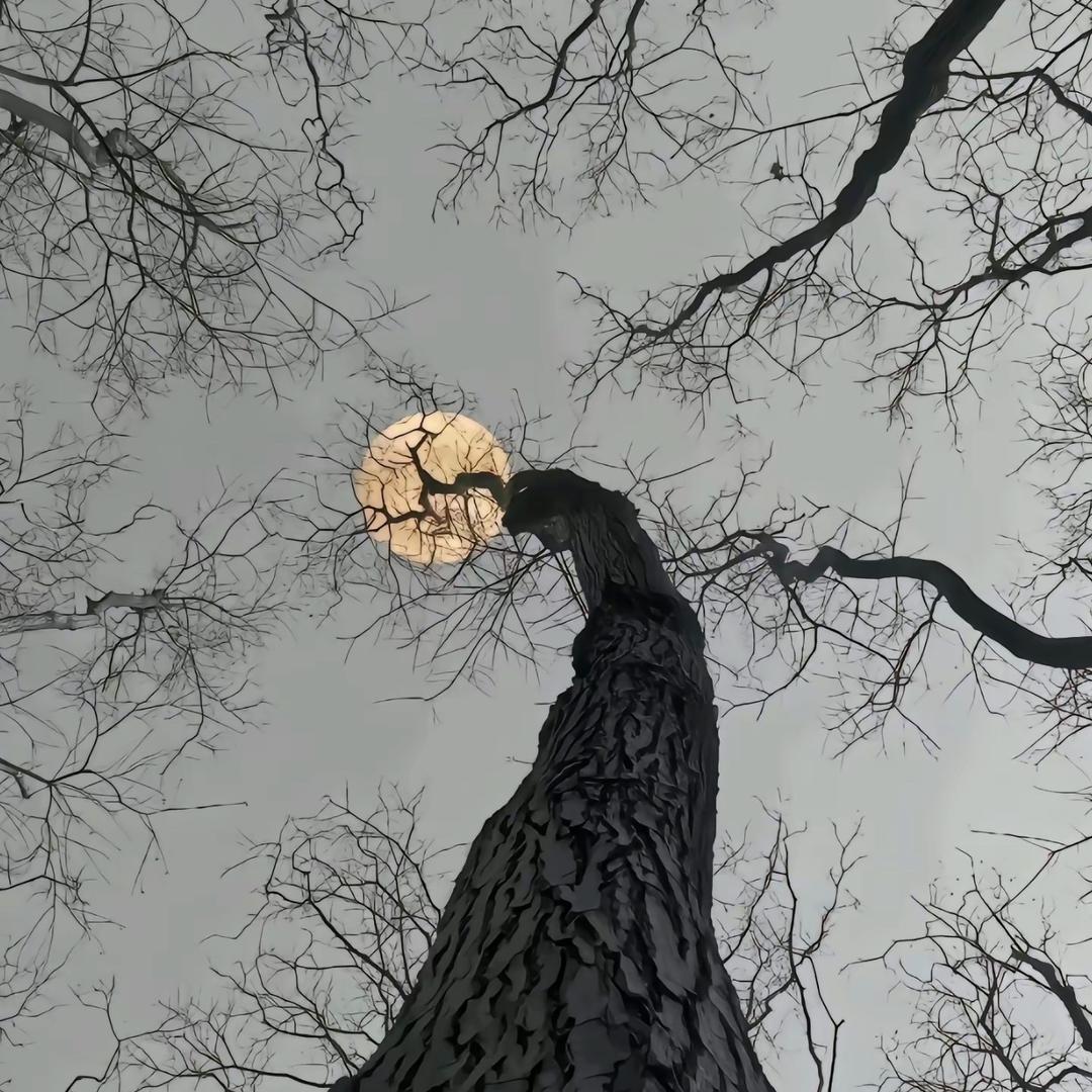 傲琥阁
