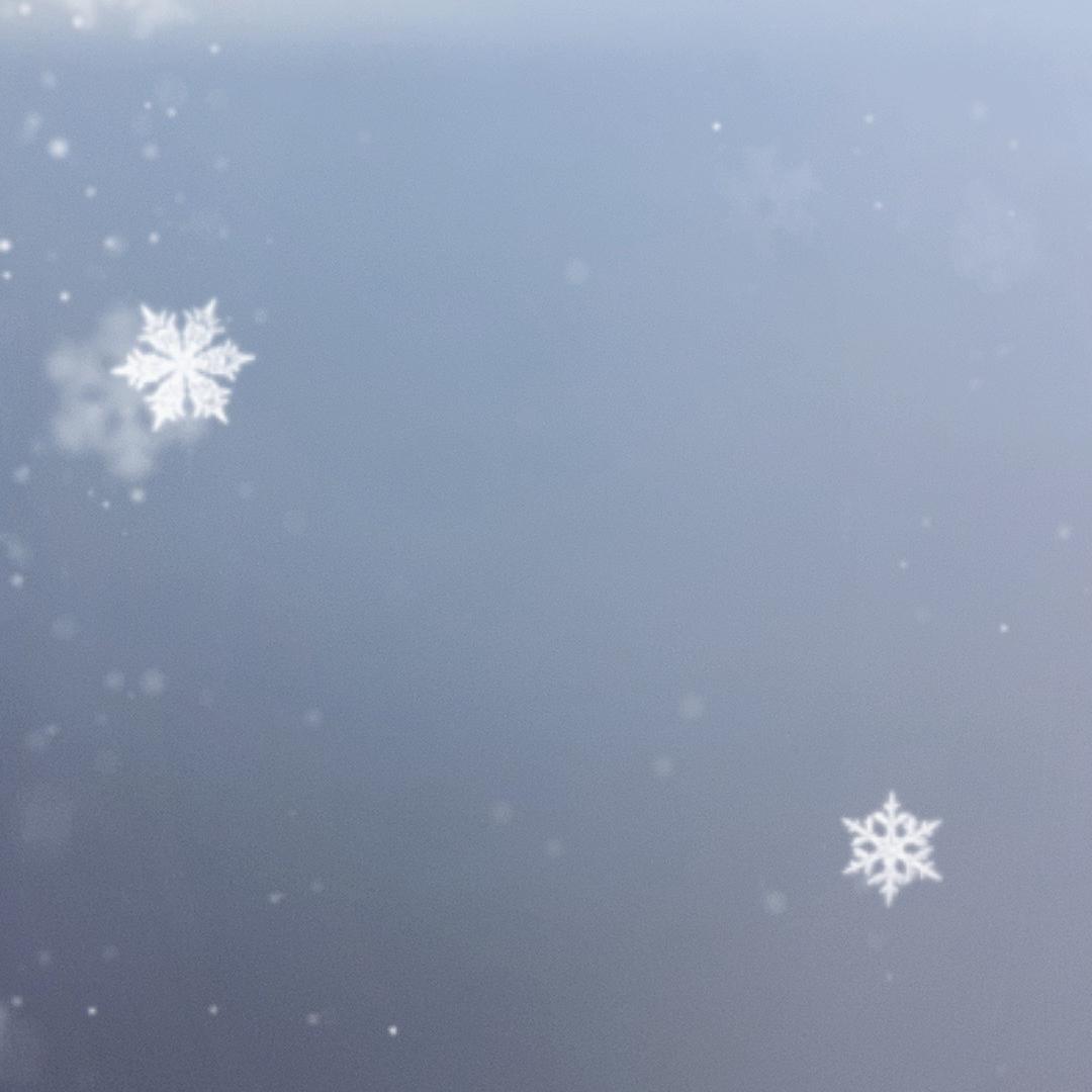 凍凍、蓉扬百货