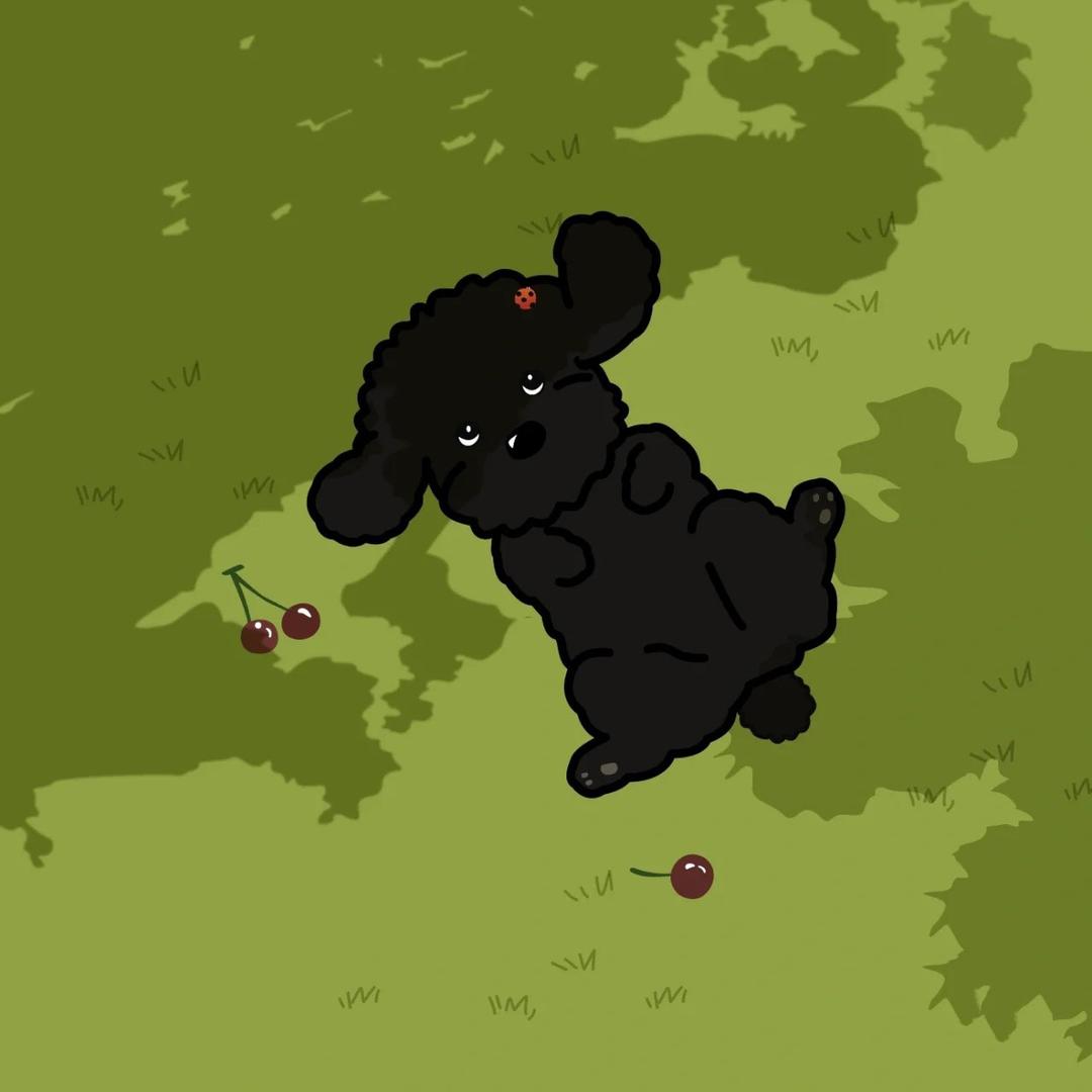 蘑菇味的狮子🦁️