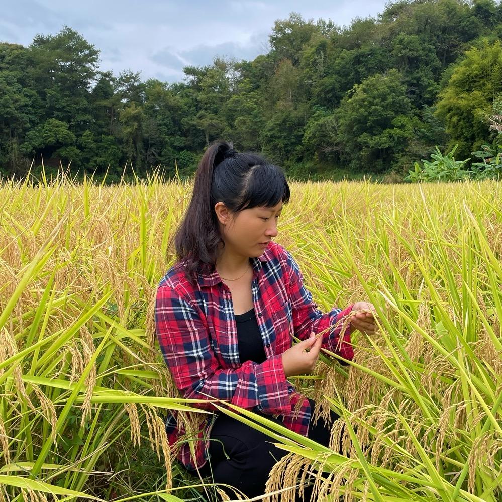 乡村小芹