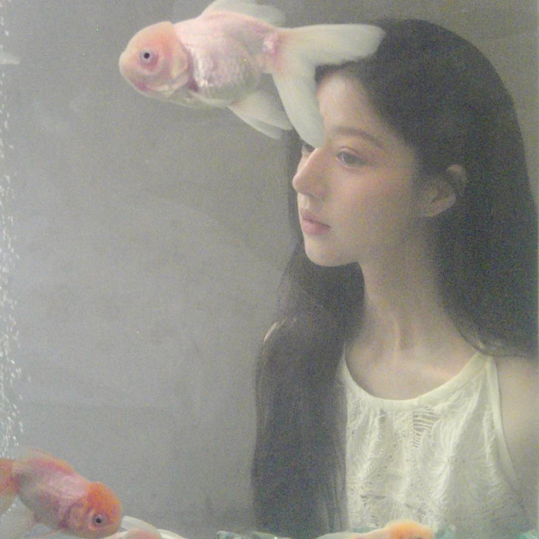 超级宇宙无敌暴龙战士🦖