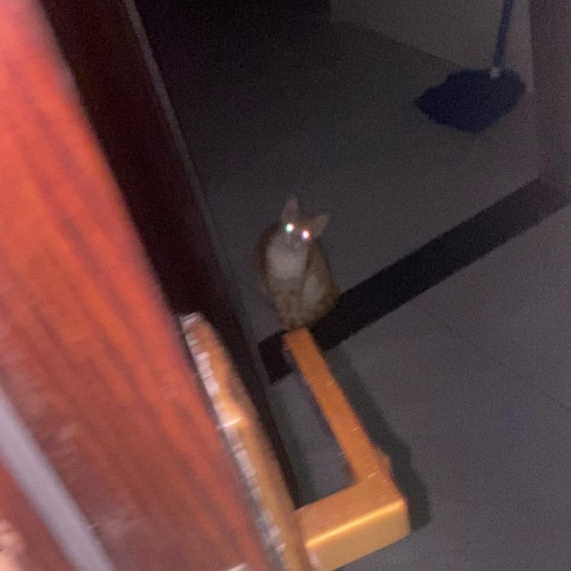 重生之我在永劫当鼠鼠