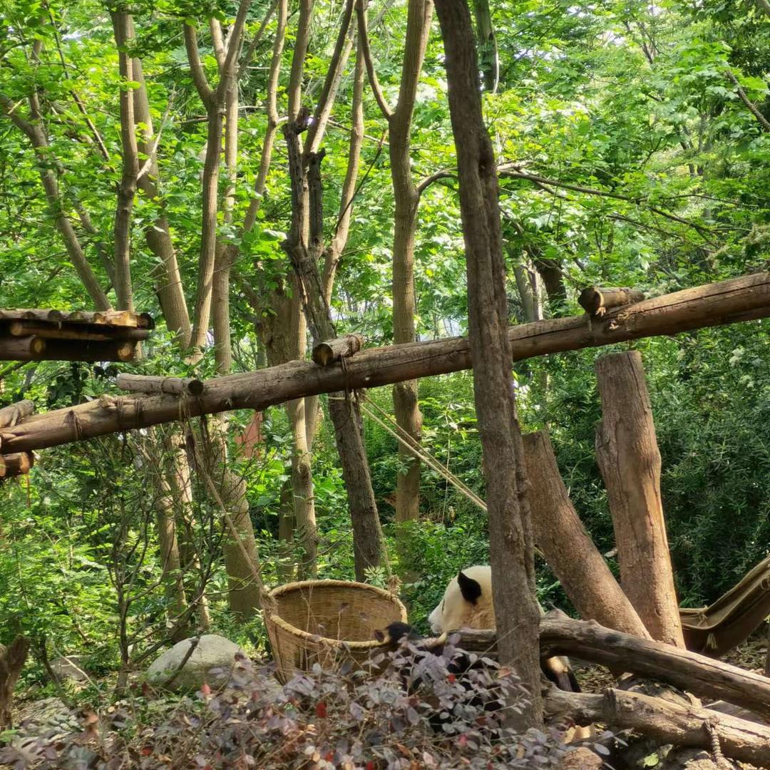 安溪县凤城镇易瑞玉办公用品商店（个体工商户）