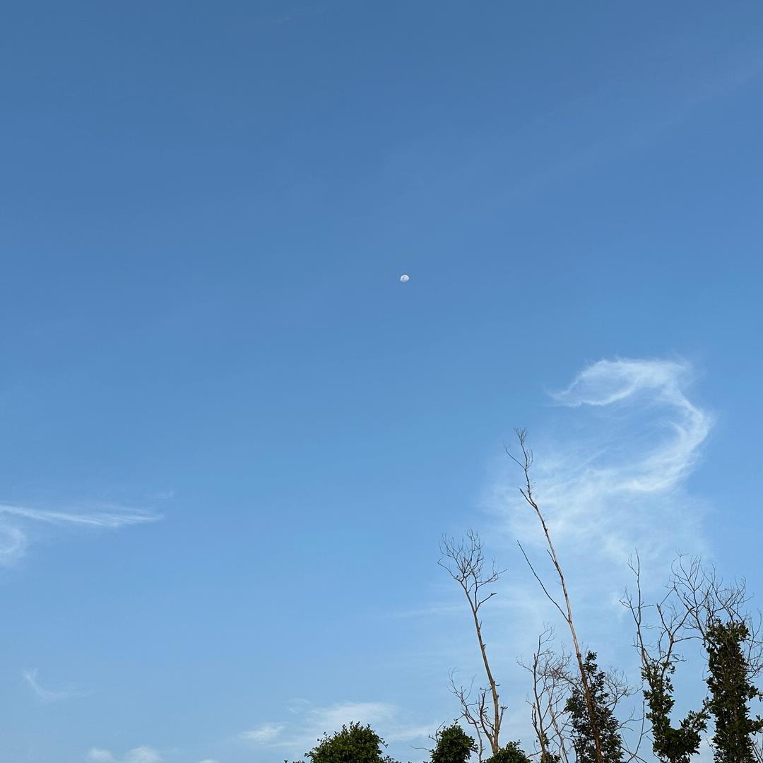 小鹿🦌