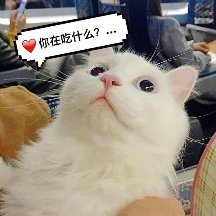 文文优选