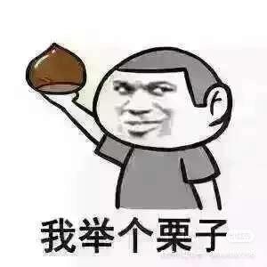 科莫多小蜥