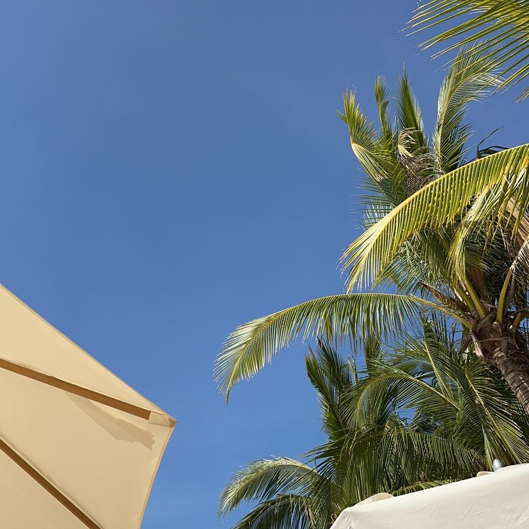 无与伦比文质彬彬