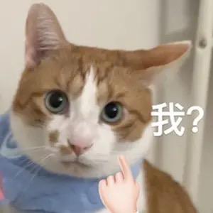 OMG你吓到我啦～头像