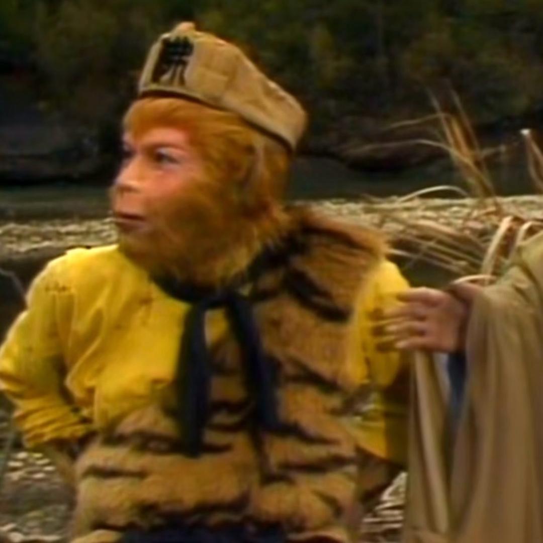 西红柿炖他ma头