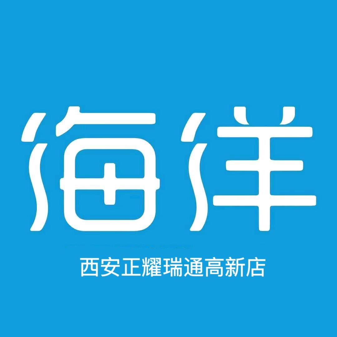 比亚迪海洋网西安正耀瑞通高新店