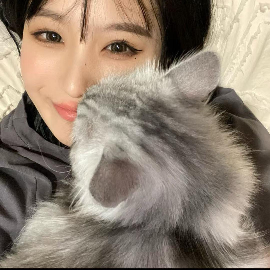 哩哩（洛克王国世界）