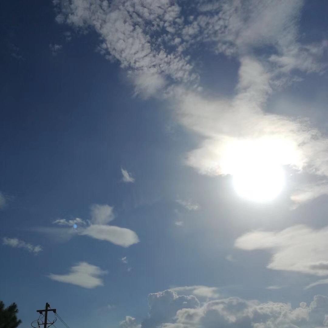 星叶