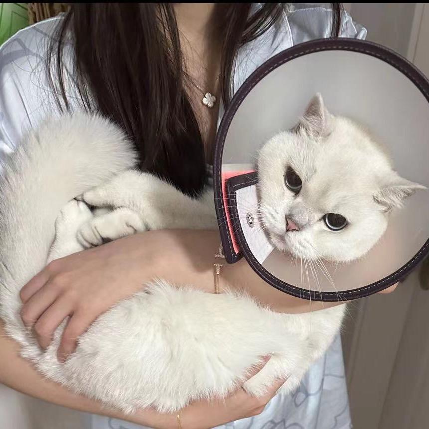 撸咔日记