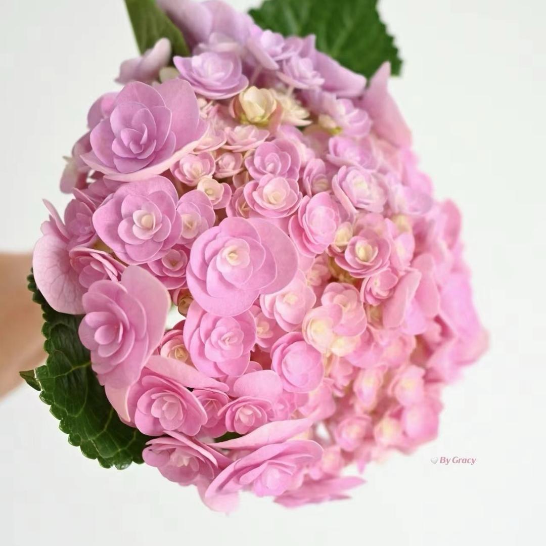 二小姐鲜花批发