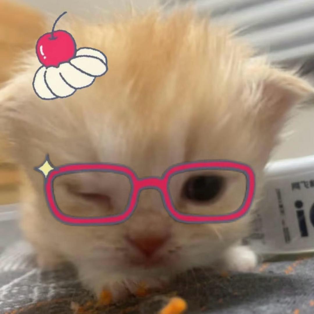 哟布塞哟~