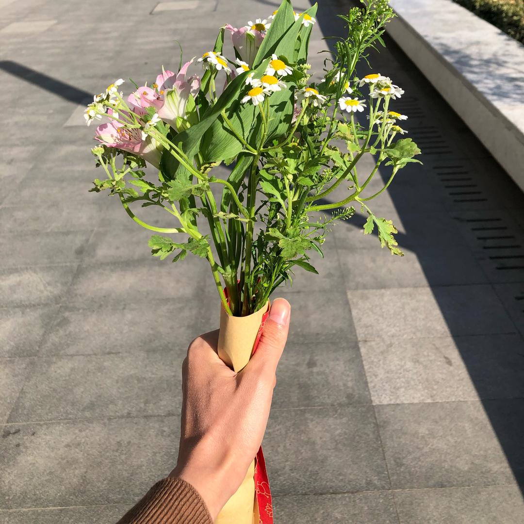 一颗辣椒苗