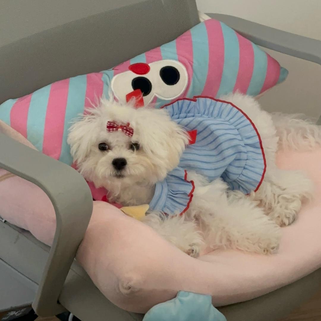 🧚‍♀️Kiki🧚‍♀️