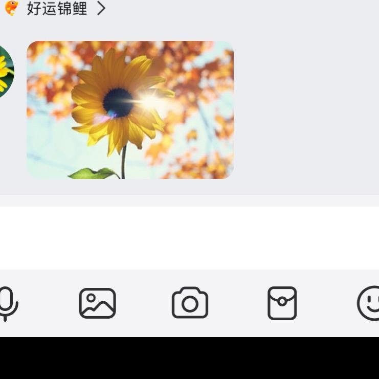 灵儿