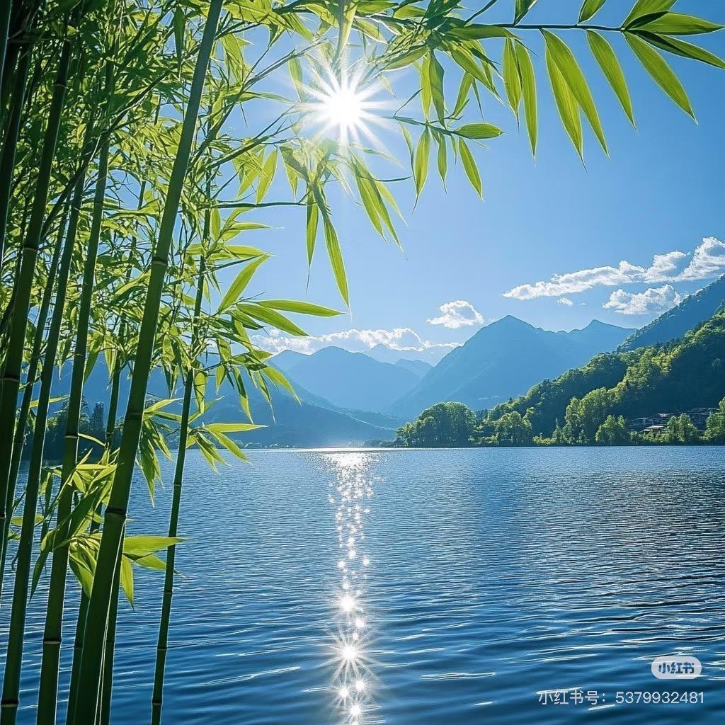 天然老楠竹手冲筷