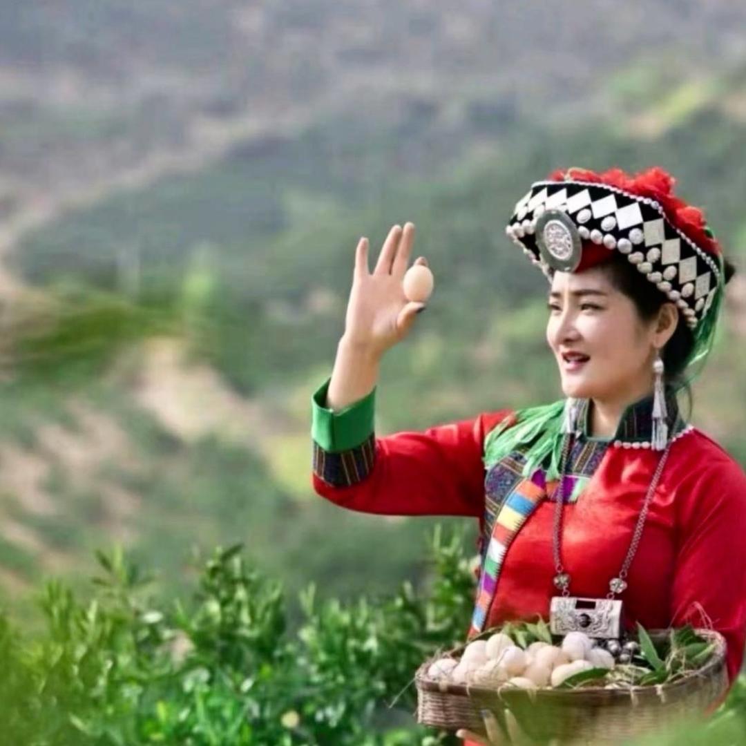 云南小表妹的农场