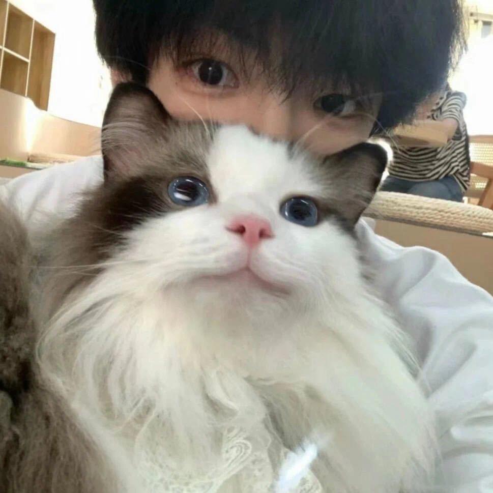 爱吃烤肉