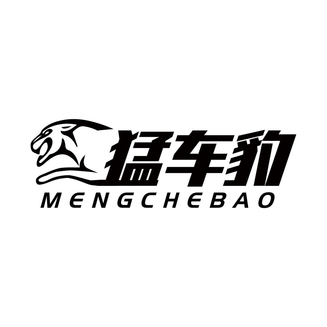 猛车豹智能优品