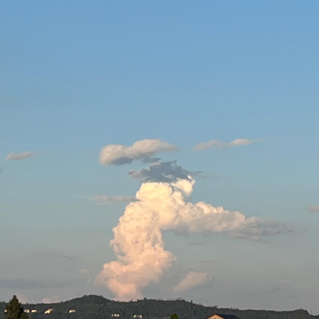 开飞机的小李✈️