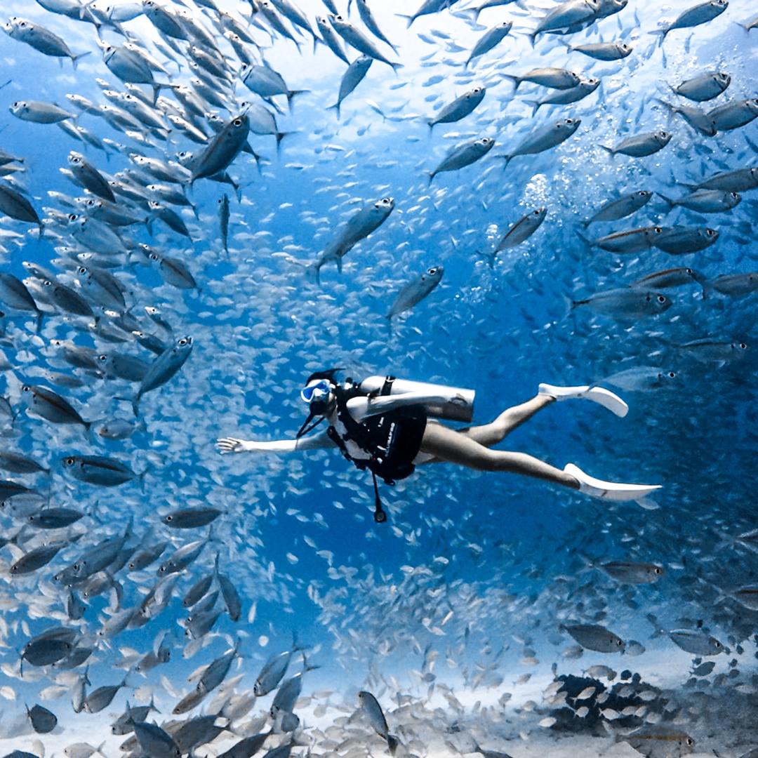 西红柿炒鸡蛋🍅