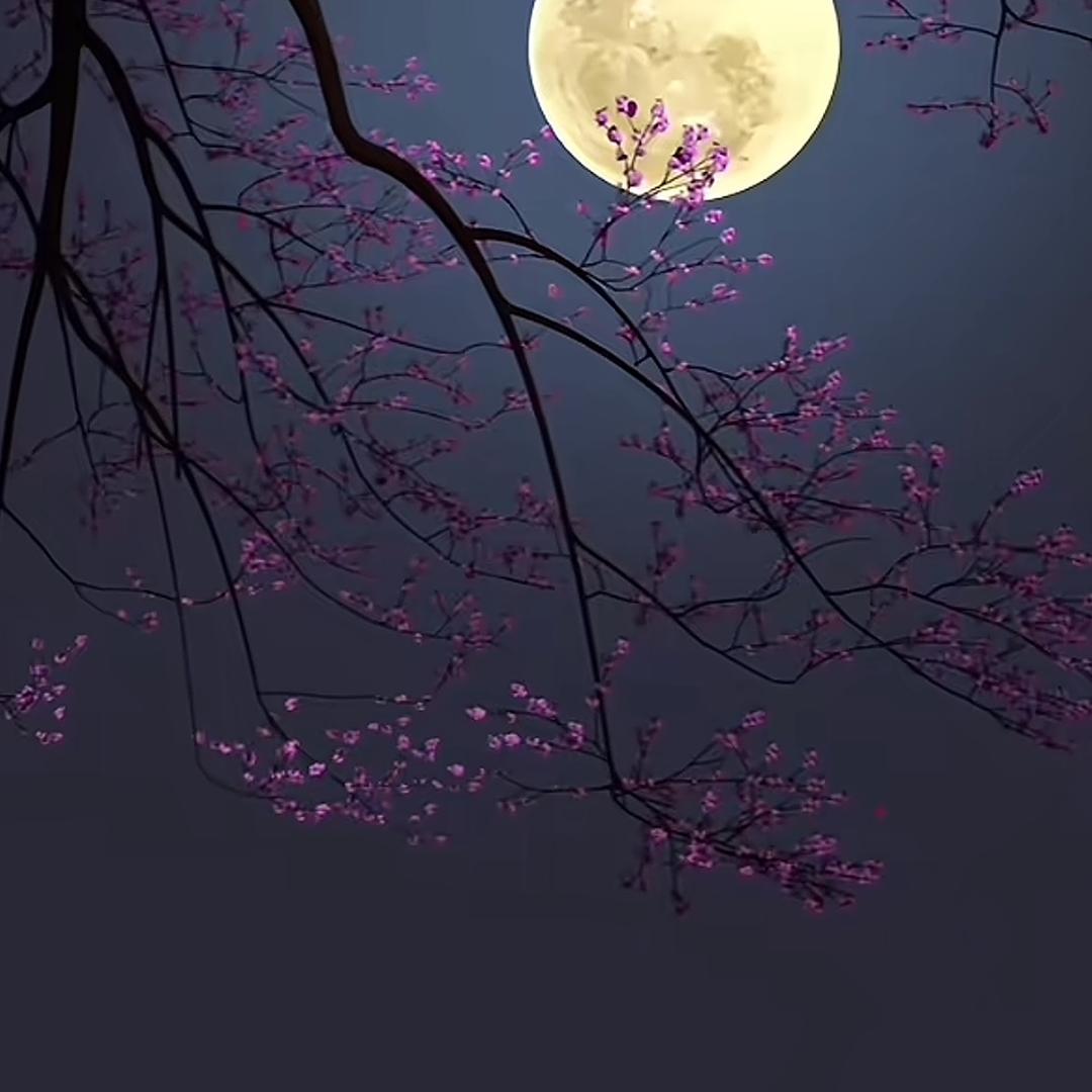 千禧家宴