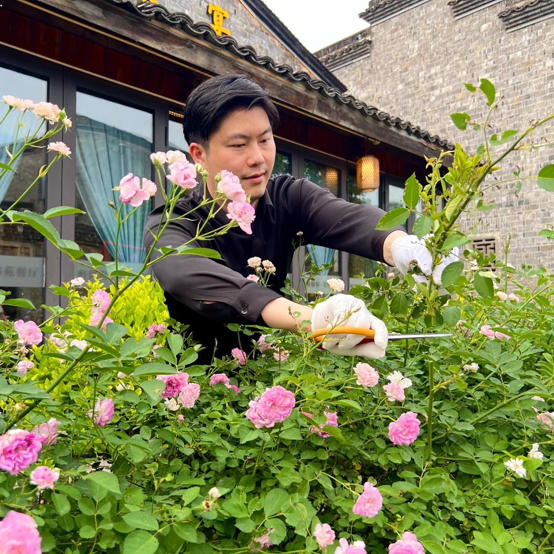 董董餐饮创业日记