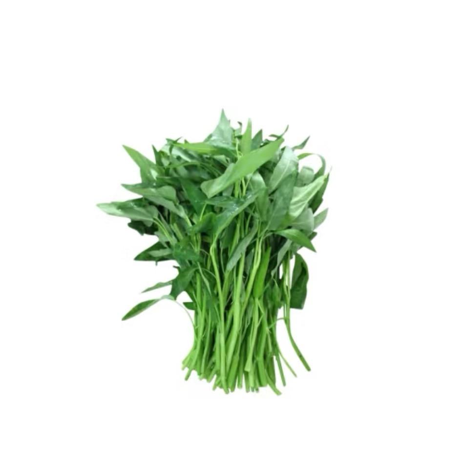不睡觉啦