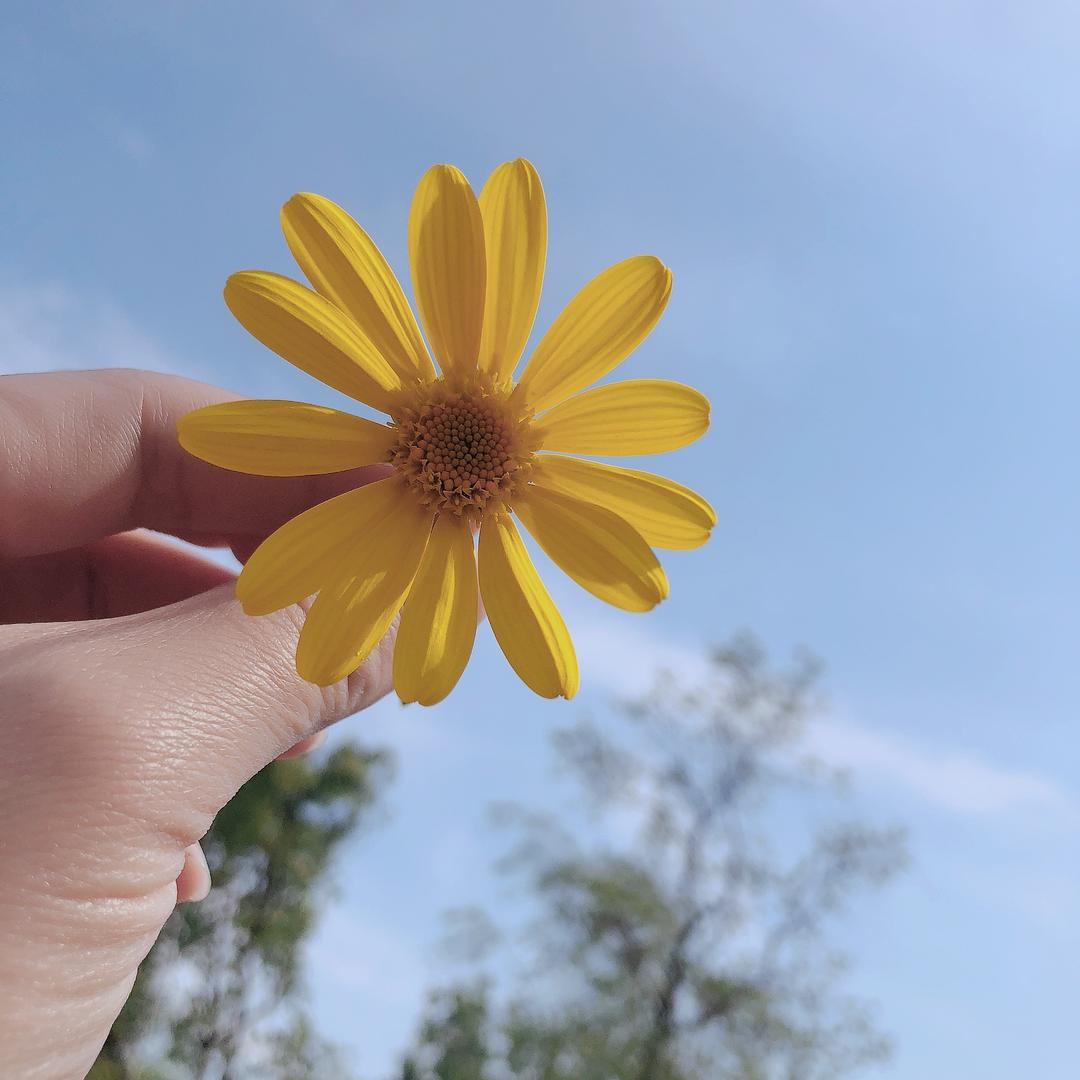 剧终。