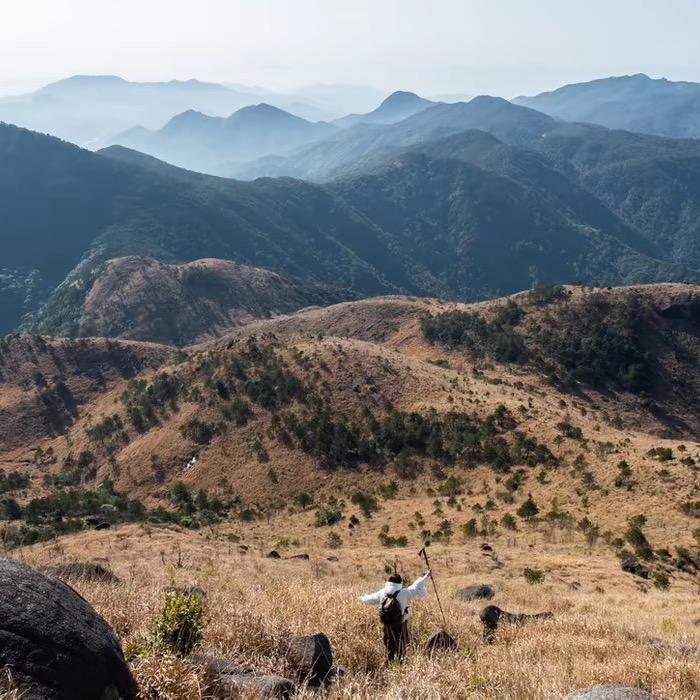 大表哥〰️🍃🍵