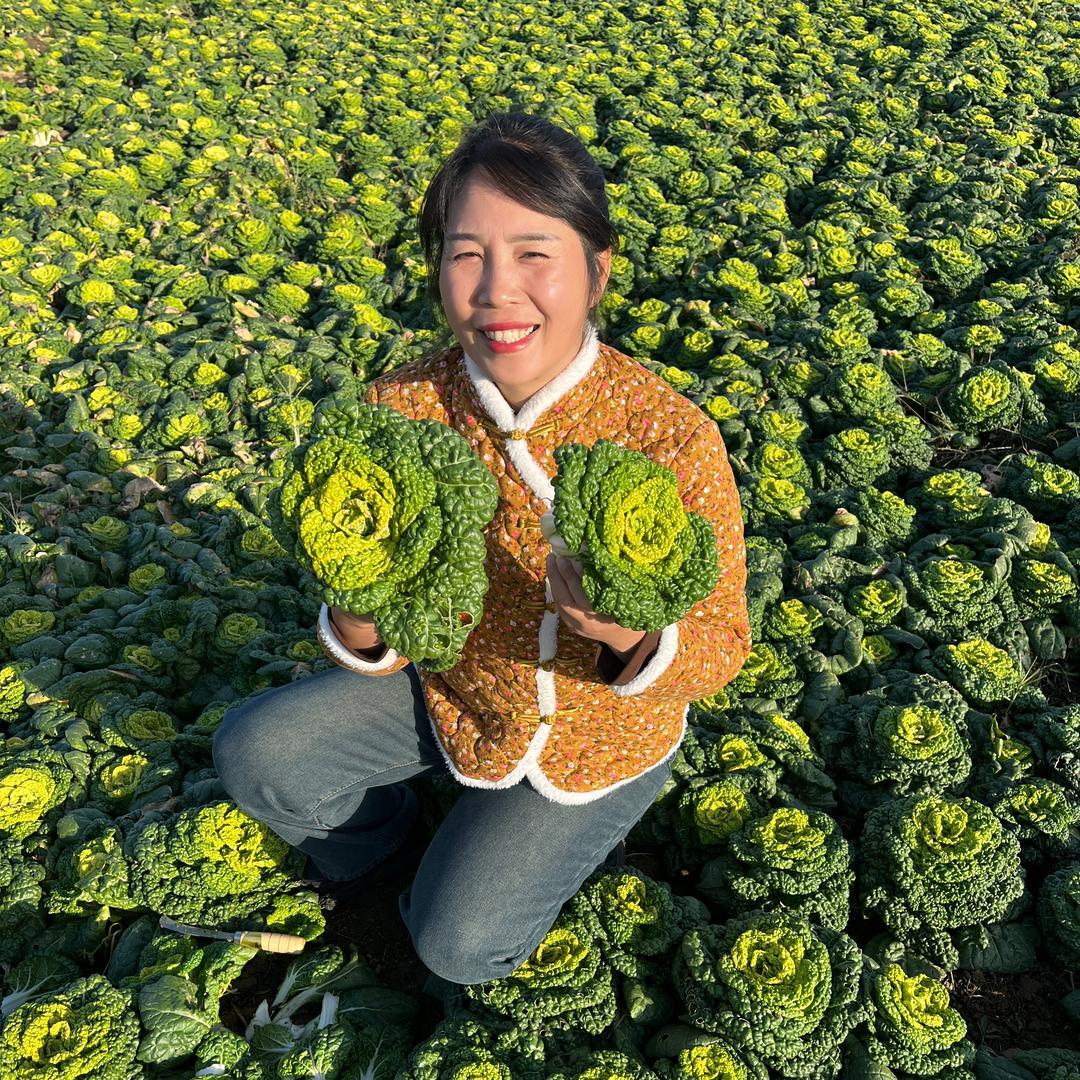 丽丽家的菜