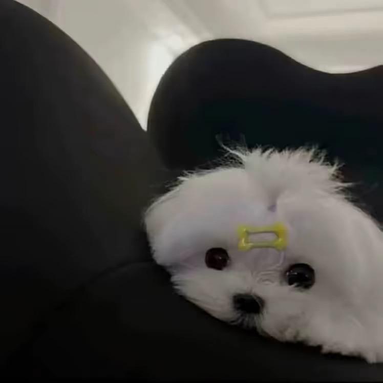 三句晚安可以吗