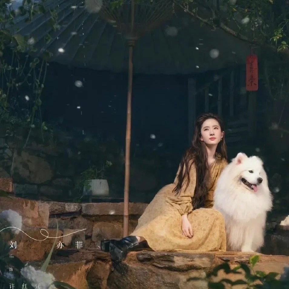 小可爱的小七