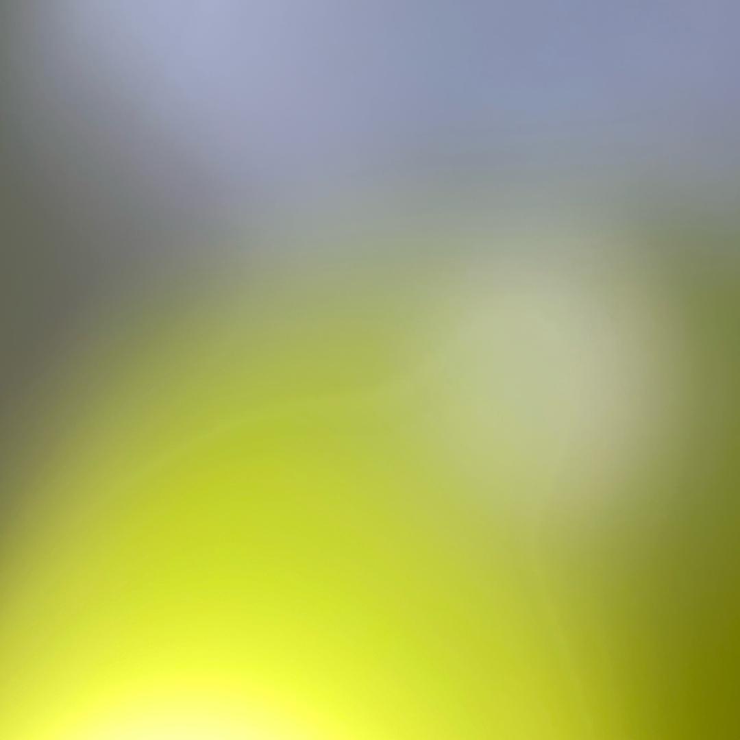 隔壁邻居