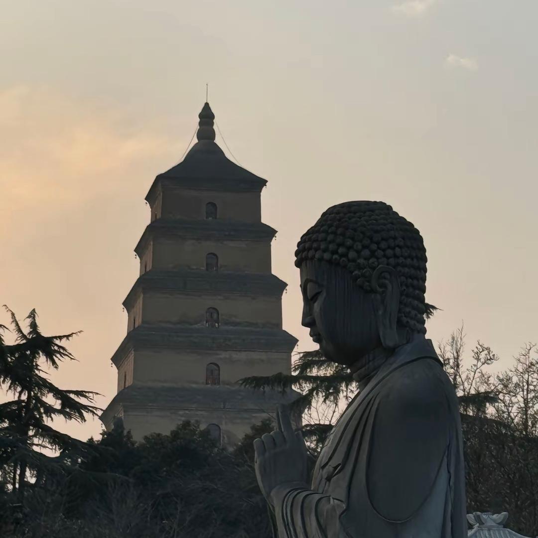 隆德小赵