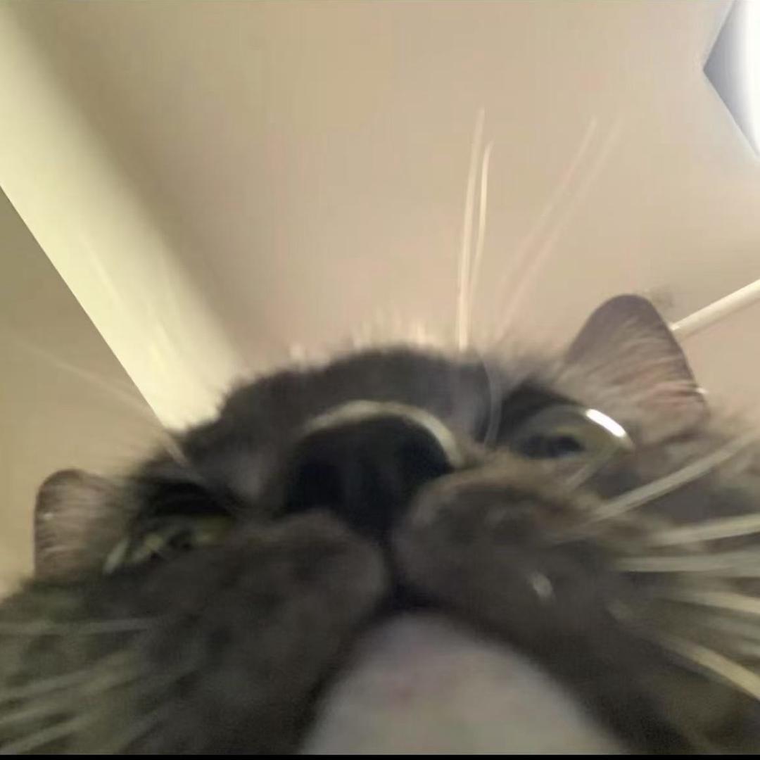 世界第一天才👨🏿‍🦳