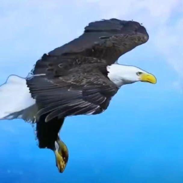 开心峰