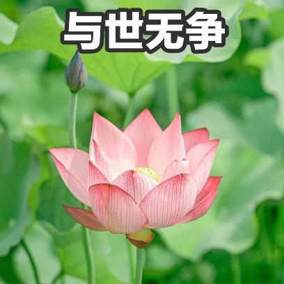 浮川