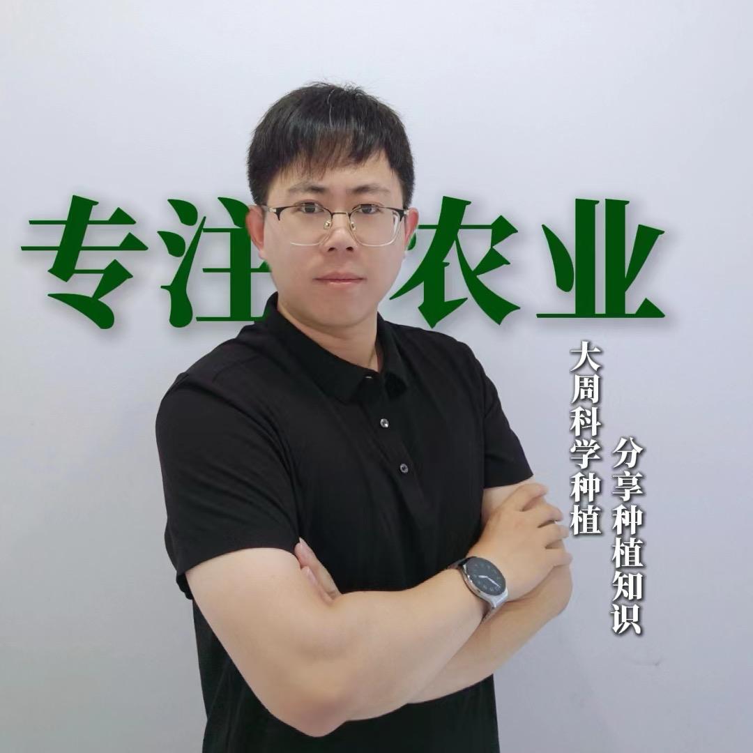 大周科学种植
