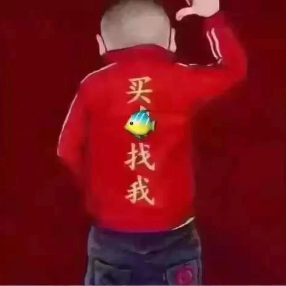 鱼金热带观赏鱼养殖基地