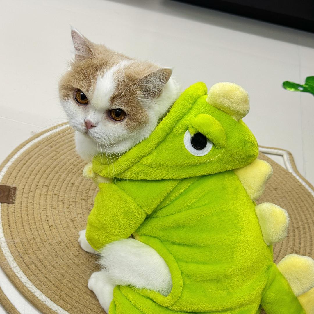 奶茶老师（尹三筒脱敏版）