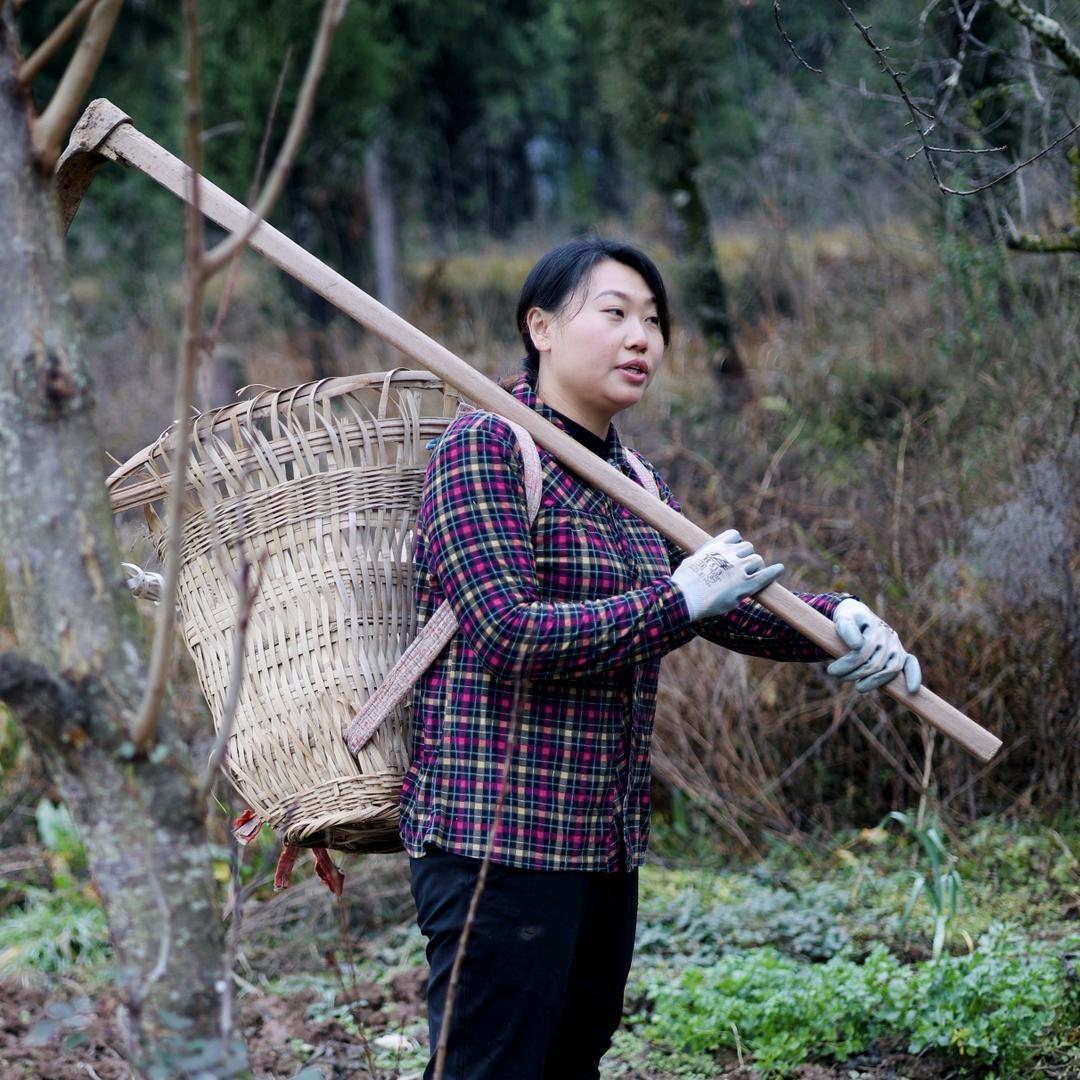 巴山大妹山货。