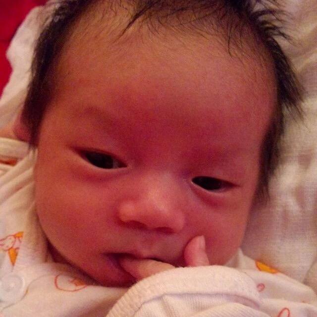 可爱的小龙