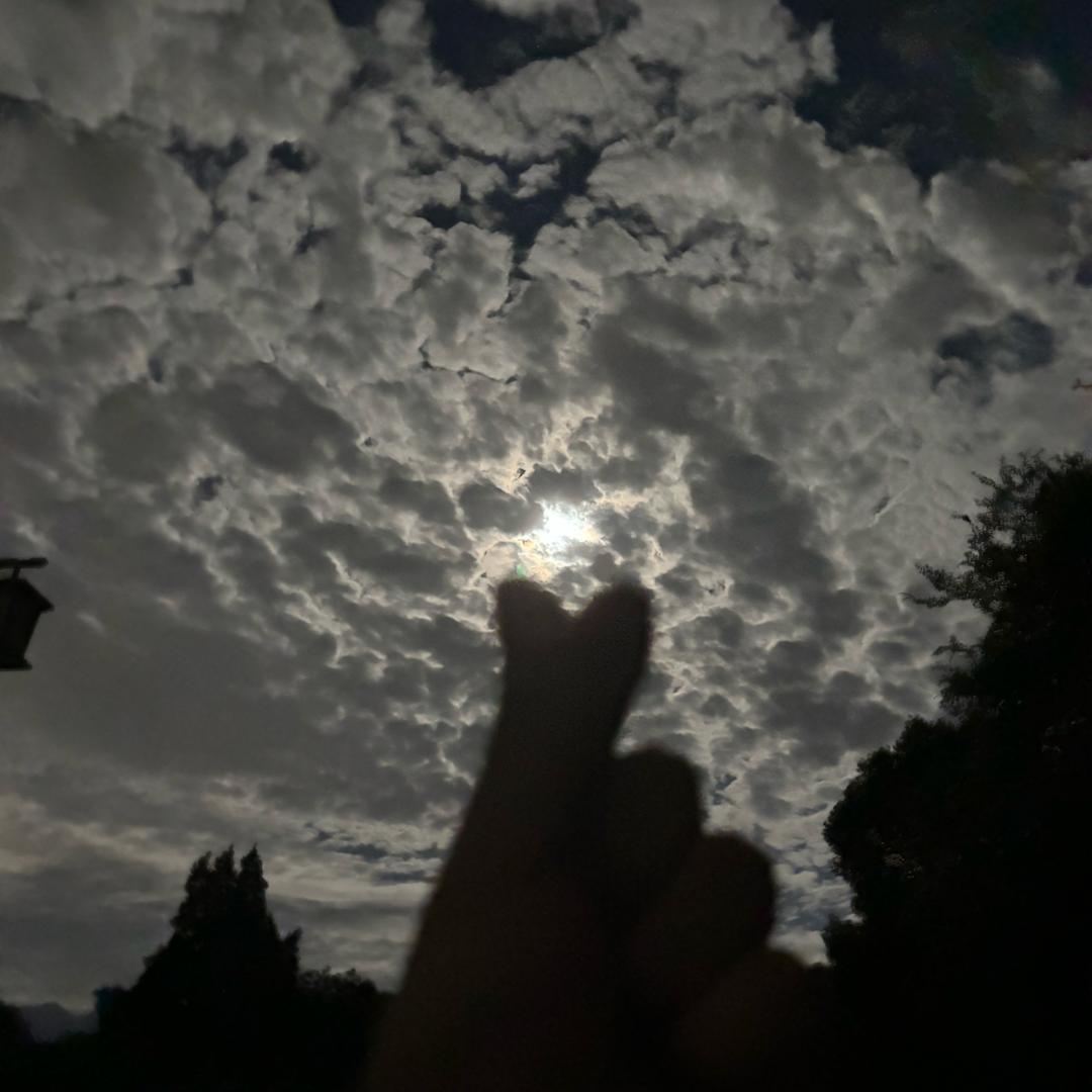 👿高斯托洛夫斯基