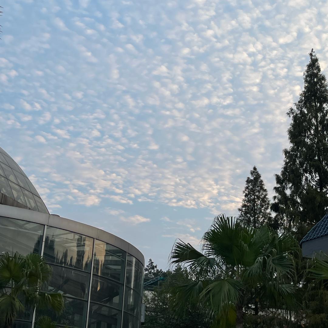 摆摊的小文