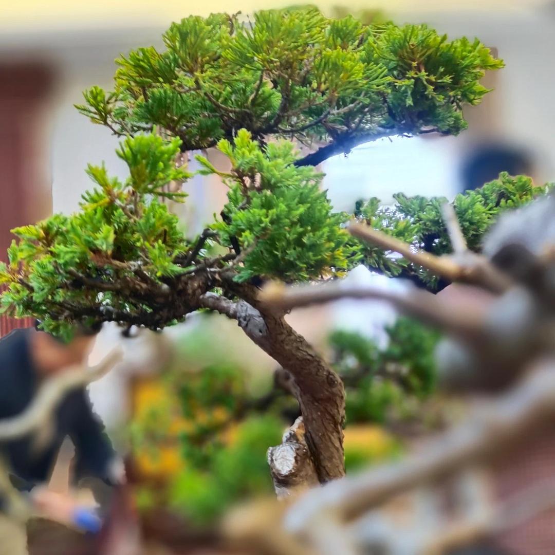 广鸿软装地毯