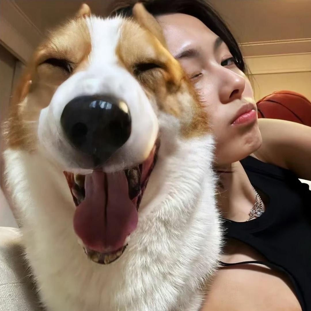 椰椰.